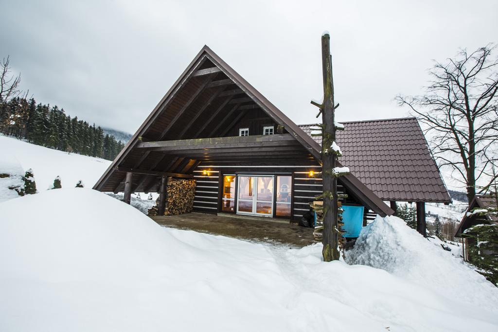 Chata Pod Lipami Hotel Rokytnice nad Jizerou Kültér fotó