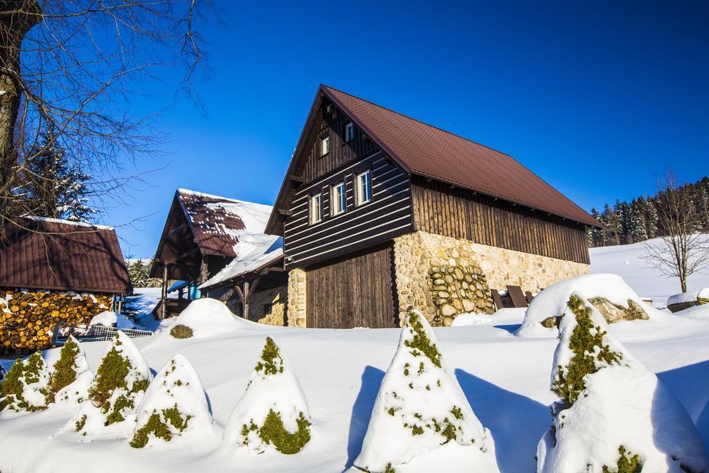 Chata Pod Lipami Hotel Rokytnice nad Jizerou Kültér fotó